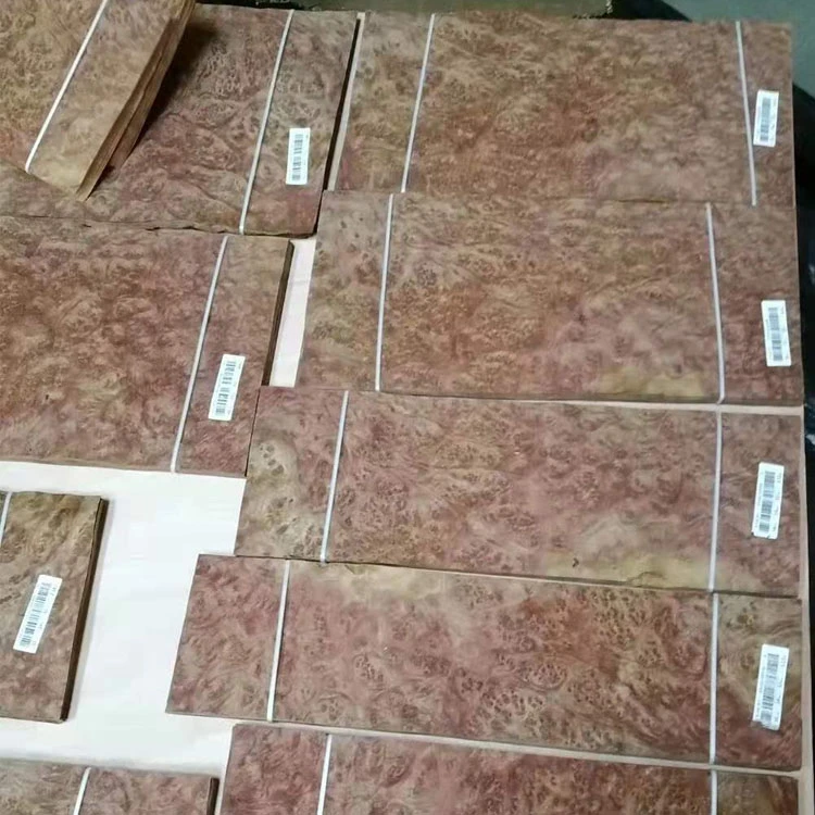 Camphor Burl Veneer